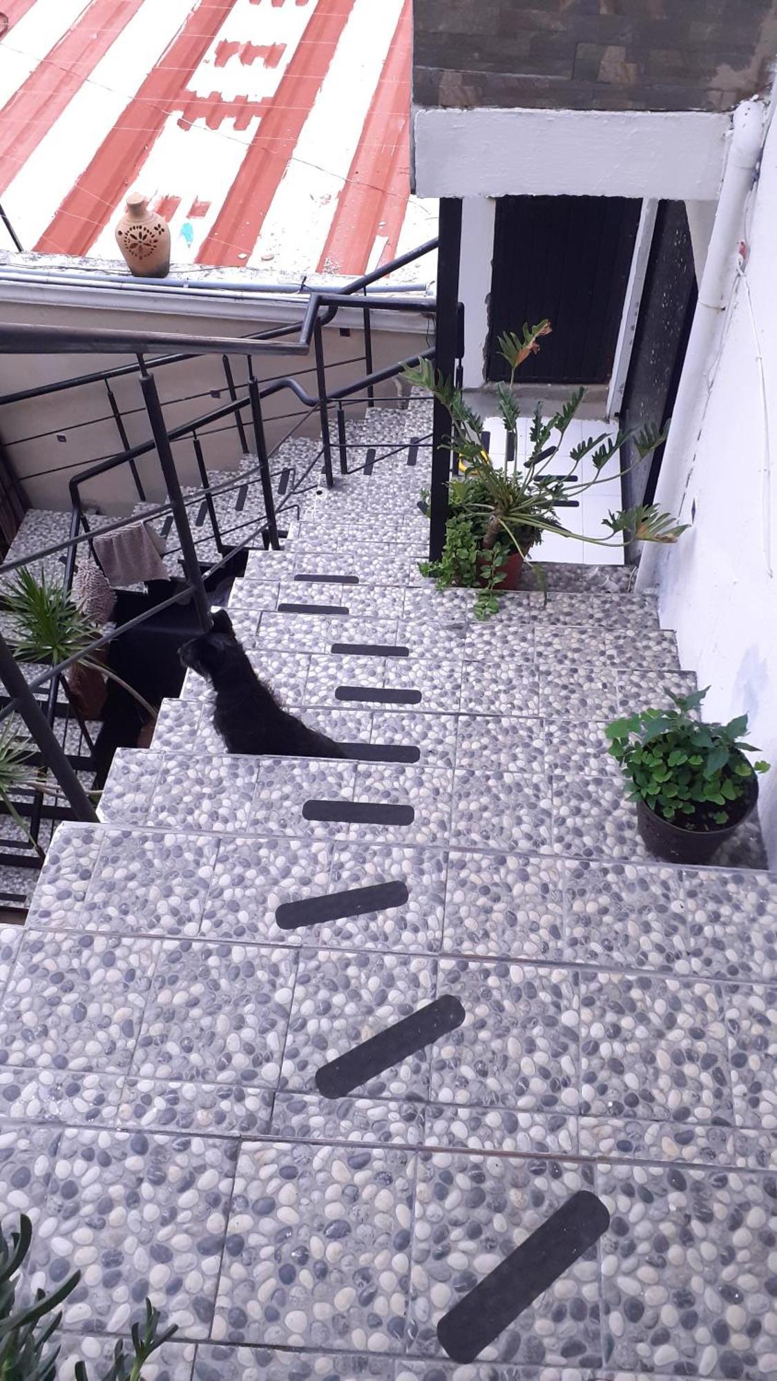 Aparta-Hotel Casa Real Apartamentos Chapala Phòng bức ảnh